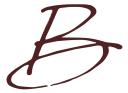  Blyss Chiropractic and Acupuncture logo